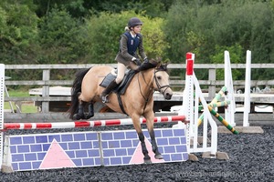 Class 6 - Fences not above 2'9